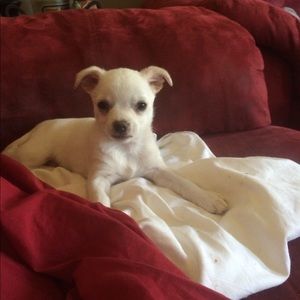 Meet your Posher, Vicki